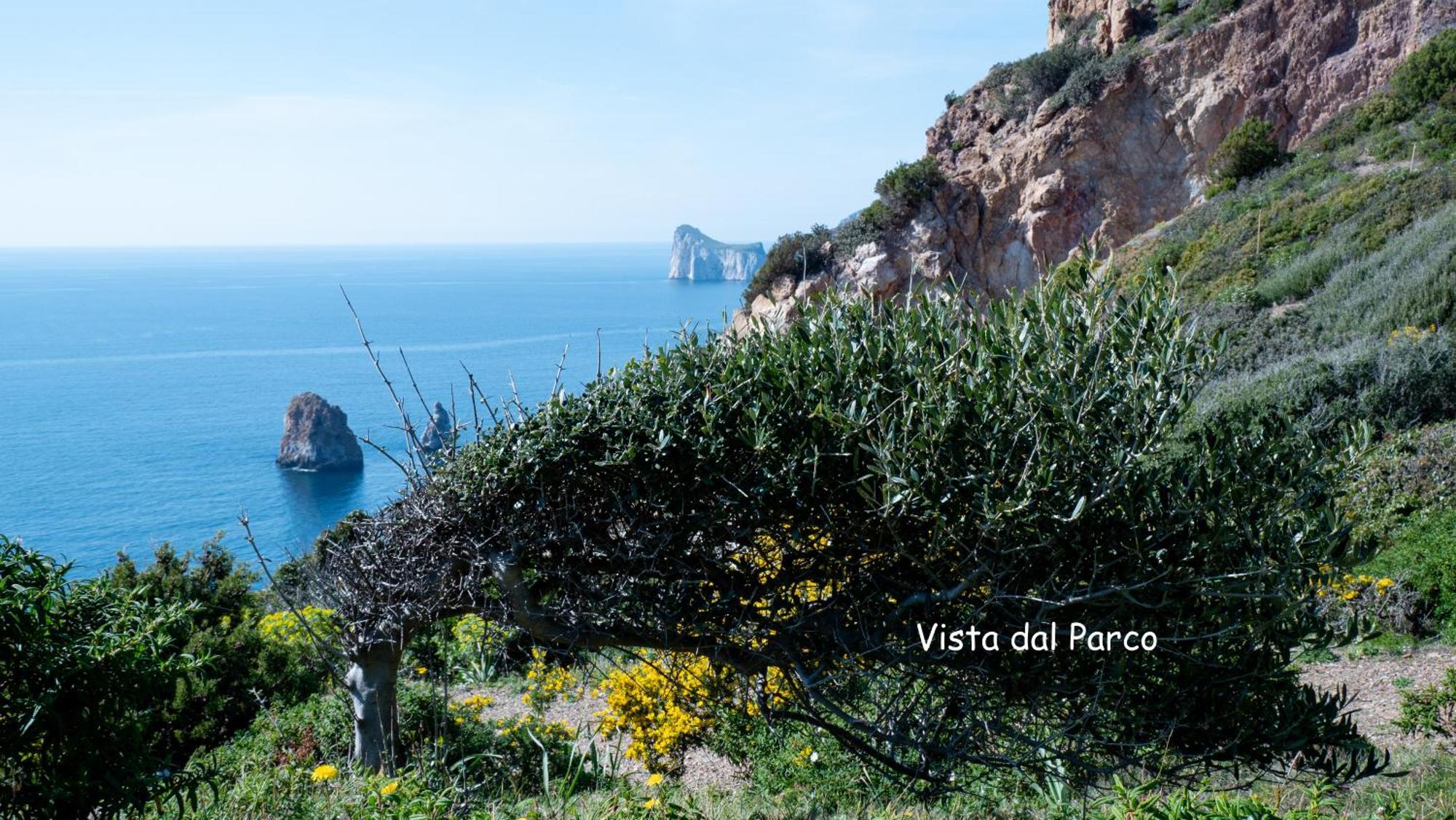 Il Sogno Tanca Piras Villa Nebida Luaran gambar